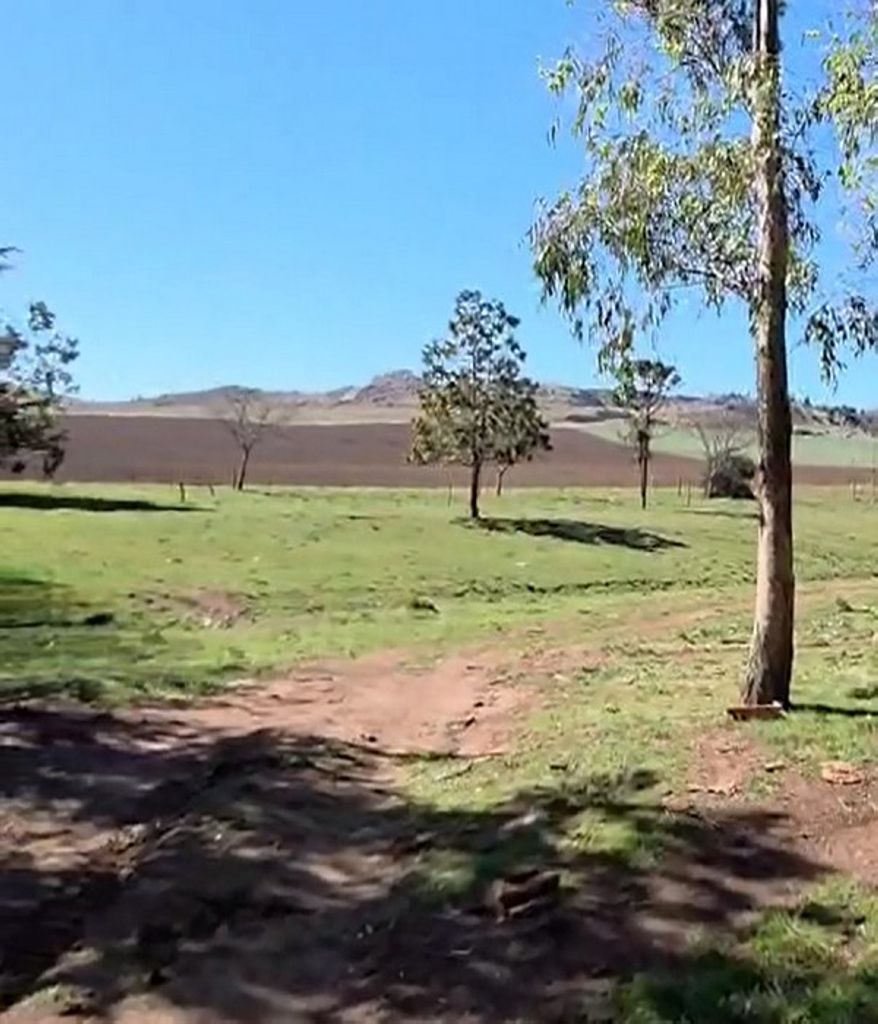 300 HA PRECIOSA ESTANCIA ENTRE LAS SIERRAS