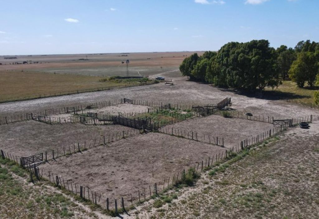 3.000 HA CARMEN DE PATAGONES