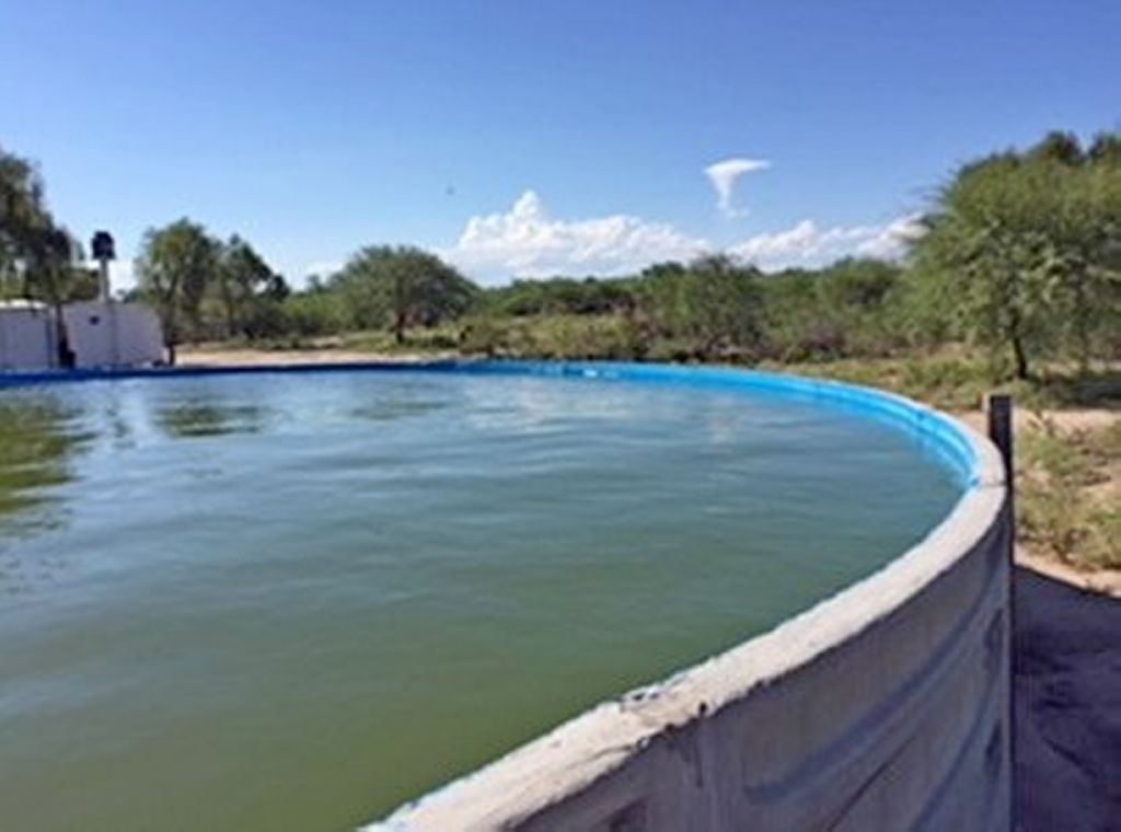 3.000 ha ARRIENDO EN SAN LUIS LIMITE CON MENDOZA