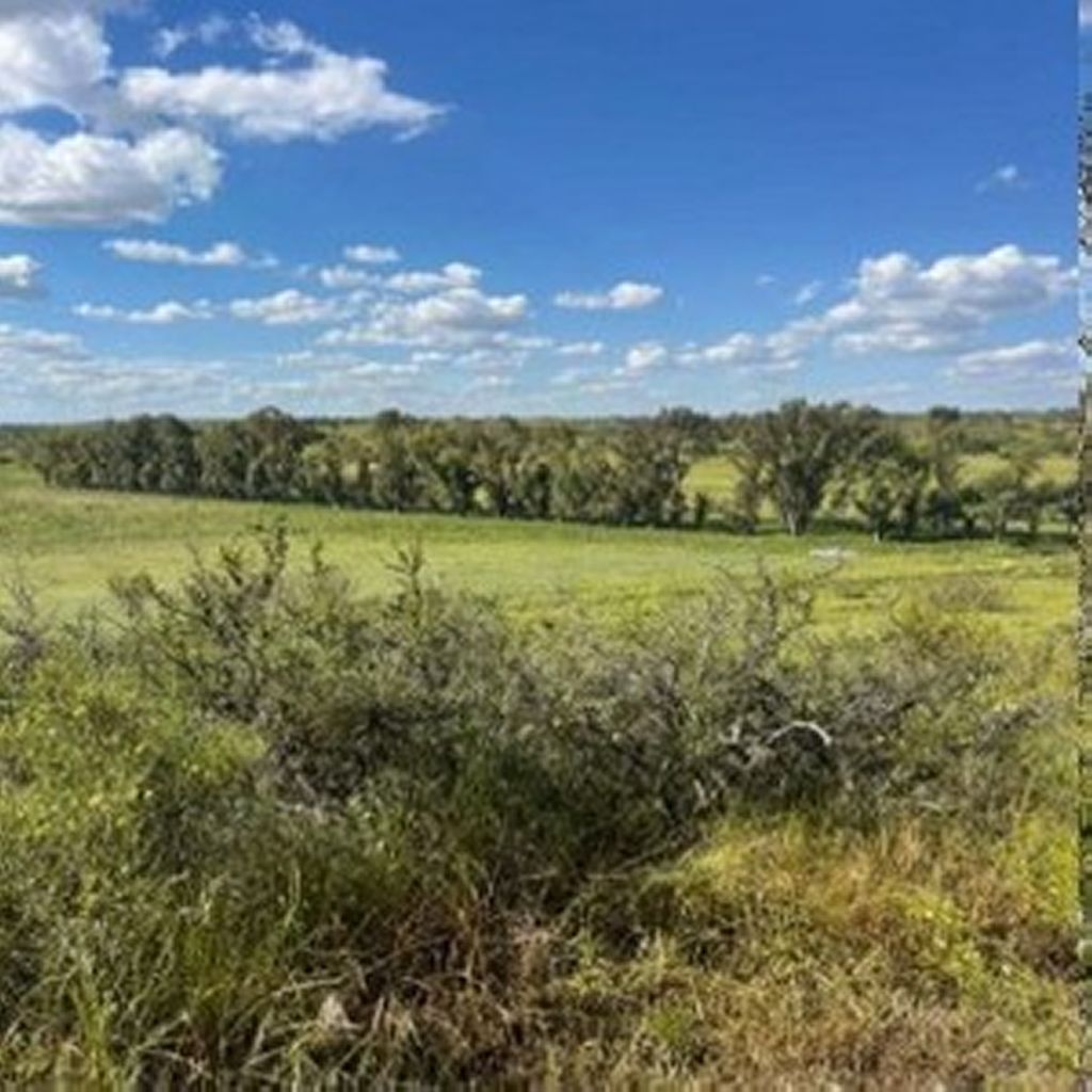 1.360 ha NUEVA ROMA