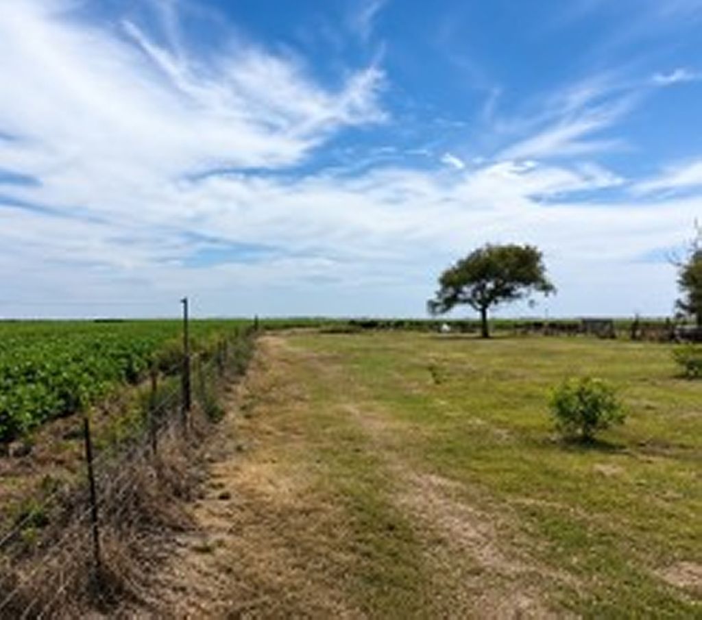 7.200 HA ARRIENDO MIXTO EN CORDOBA