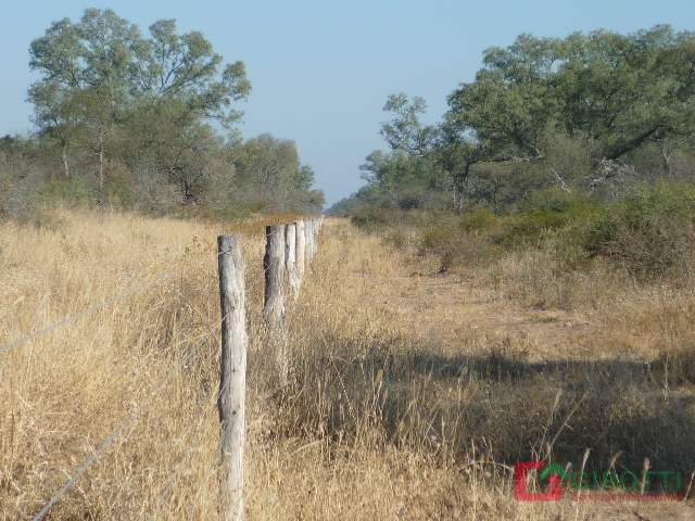 5.624 HA MATARA SANTIADO DEL ESTERO CON AUTORIZACION DE DESMONTE