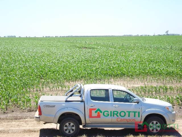 2.300 HA LABOULAYE - CORDOBA