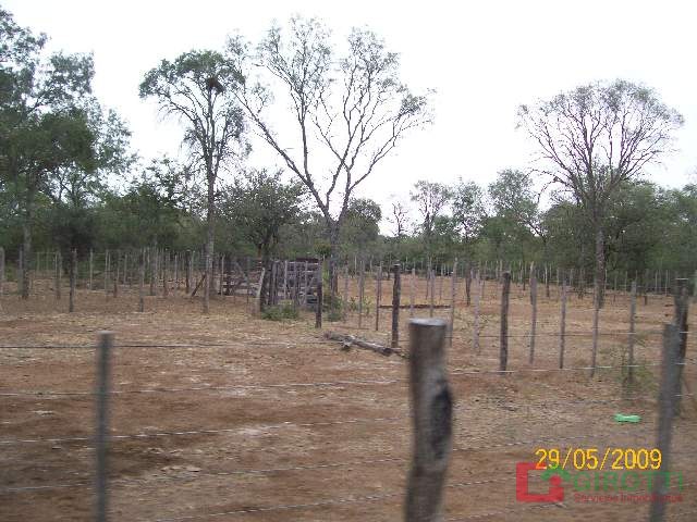 2.500 HA TABOADA SANTIAGO DEL ESTERO