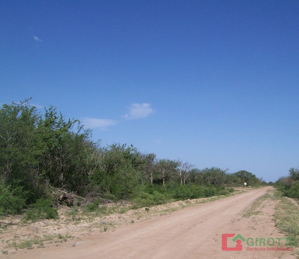 2.125 HA SUMAMPA - LOS TELARES SANTIAGO DEL ESTERO