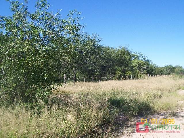 3.680 HA COSTA RIO SALADO - GARZA SANTIAGO DEL ESTERO