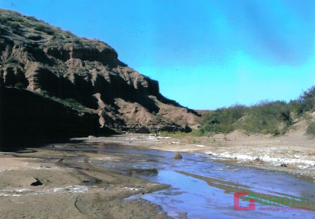 94.000 HA ESTANCIA EN MENDOZA A TRANQUERA CERRADA