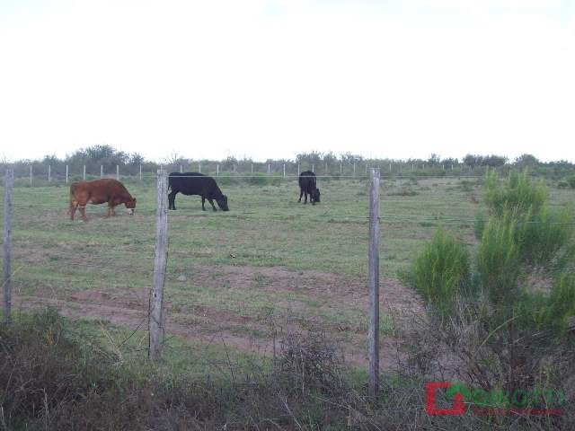 5.500 HA SAN LUIS