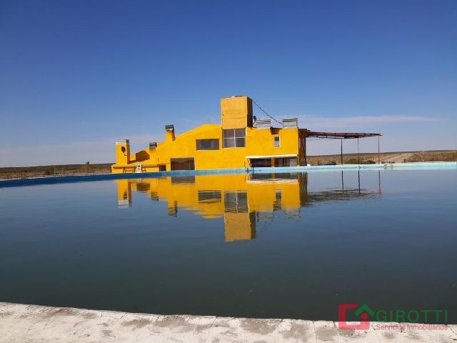 4.150 HA EN ZONA DE VACA MUERTA PAMPEANA