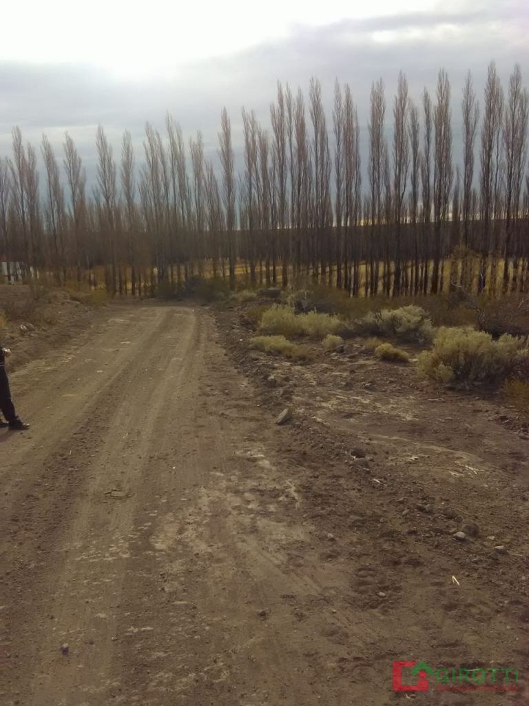 37 Ha PICUN LEUFU, NEUQUEN