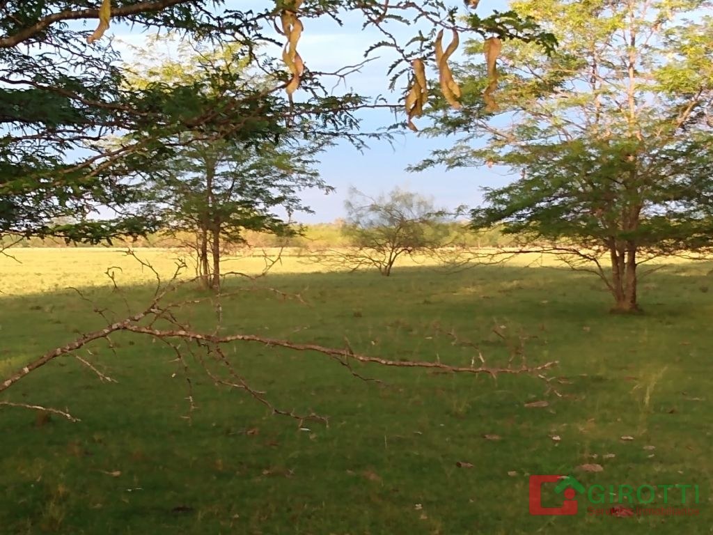 132 ha EXALTACION DE LA CRUZ