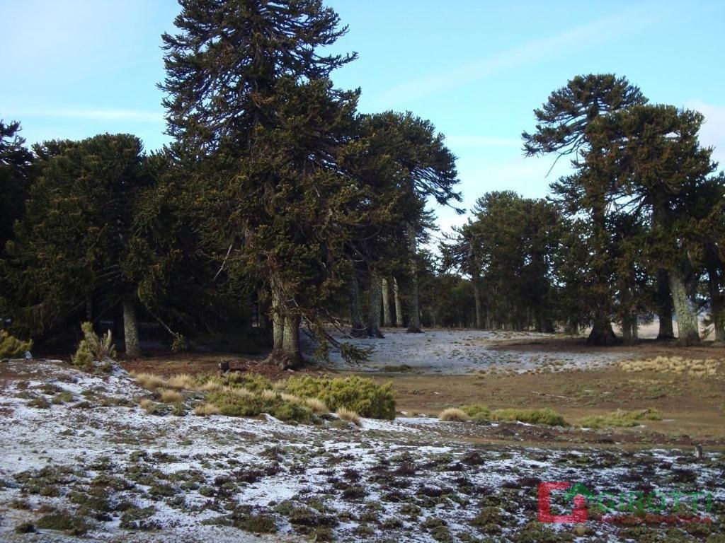 1.047 ha VILLA PEHUENIA
