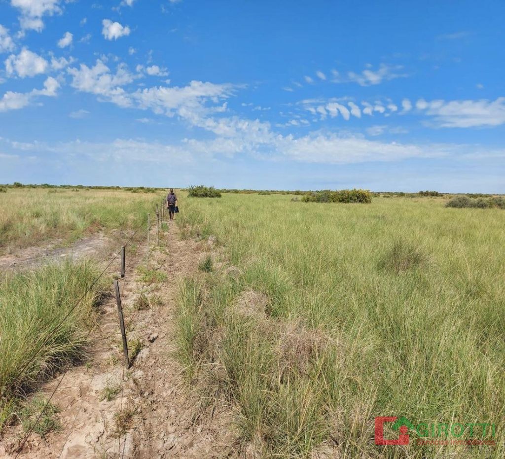 294 ha LA RINCONADA - CORDOBA