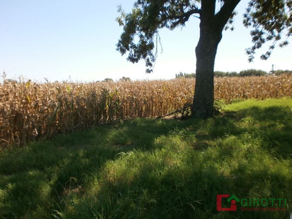 21 ha BAIGORRITA, JUNIN, ZONA NUCLEO