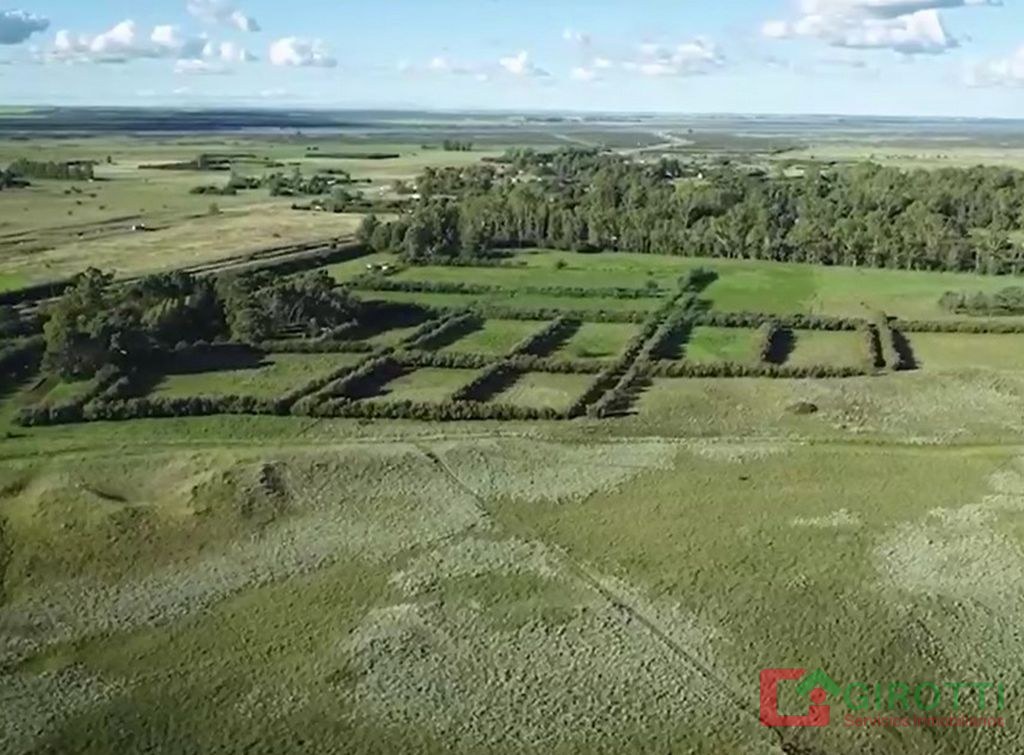 440 HA ARGERICH