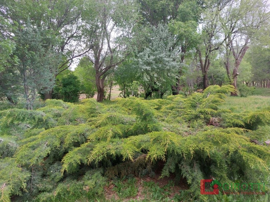 20.500 HA EXCELENTE ESTANCIA EN CHUBUT
