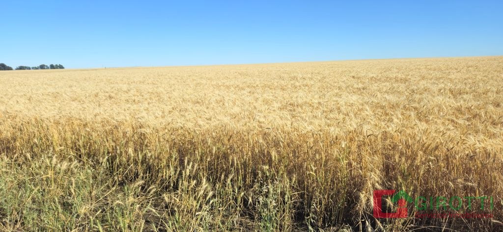 1.265 HA BAHIA BLANCA