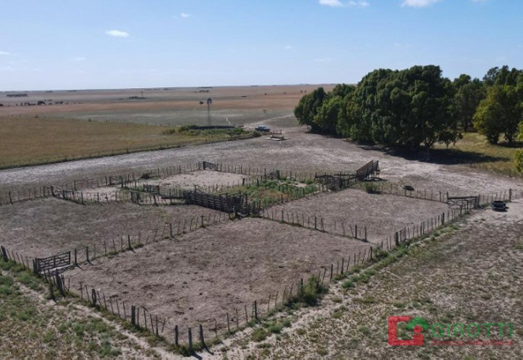 3.000 HA CARMEN DE PATAGONES