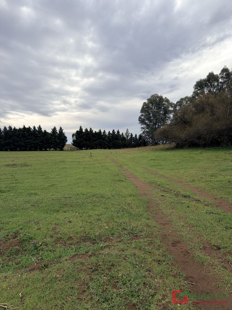 140 ha MASCOTA, VILLARINO