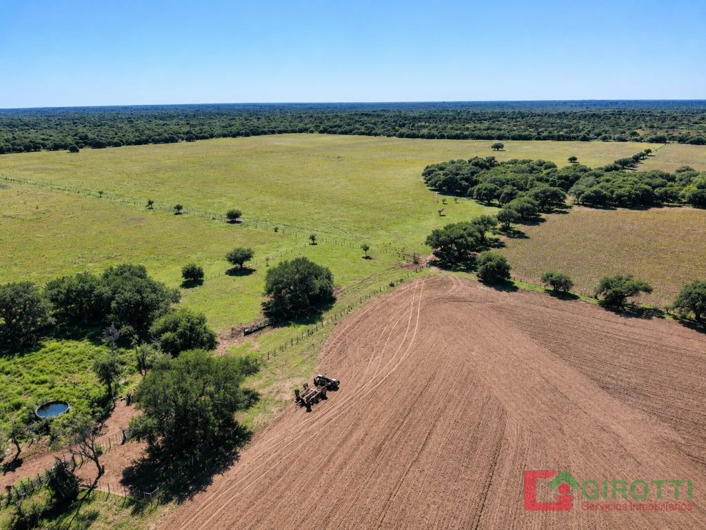 625 HA VICTORICA LA PAMPA