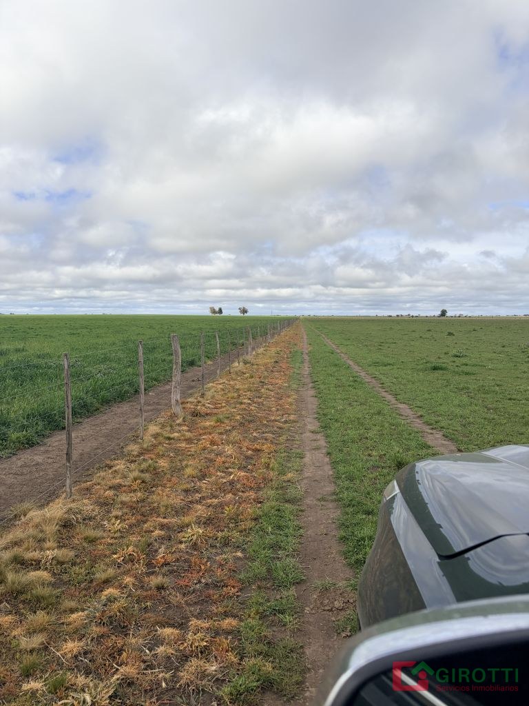 165 HA GENERAL SAN MARTIN LA PAMPA